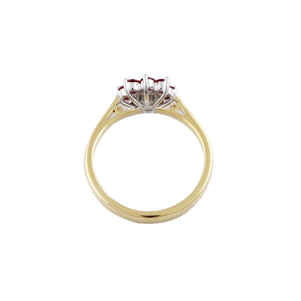 Yellow and White Gold Ruby 0.63ct with Diamond 0.16ct Cluster Ring
