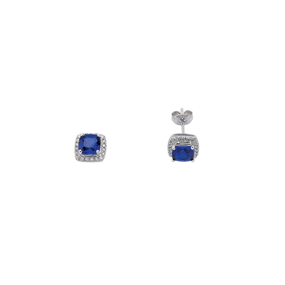 925 Sterling Silver Cubic Zirconia Sapphire Princess Cut Stud Earrings