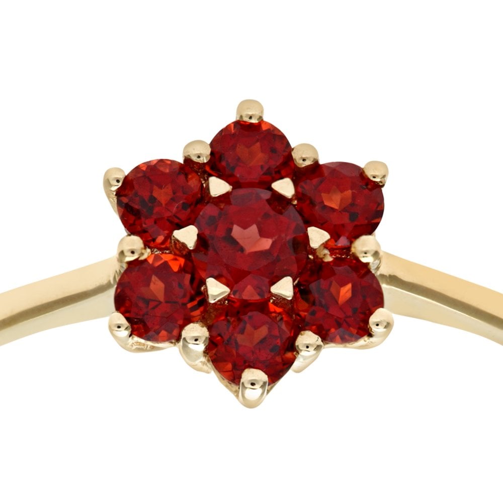 SPARKLD 9ct Yellow Gold And 0.02ct Diamond Garnet Cluster Ring