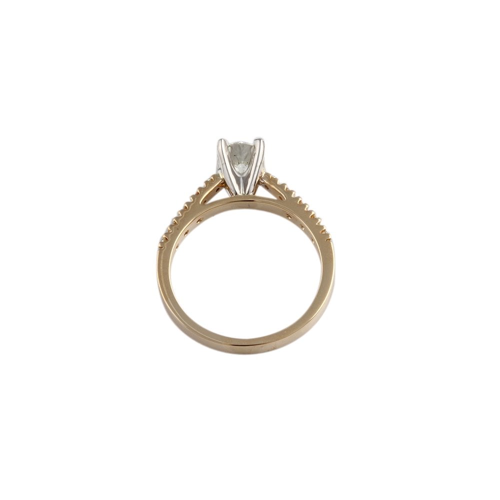 Yellow and White Gold Round Brilliant Diamond Solitaire Ring With Studded Shank