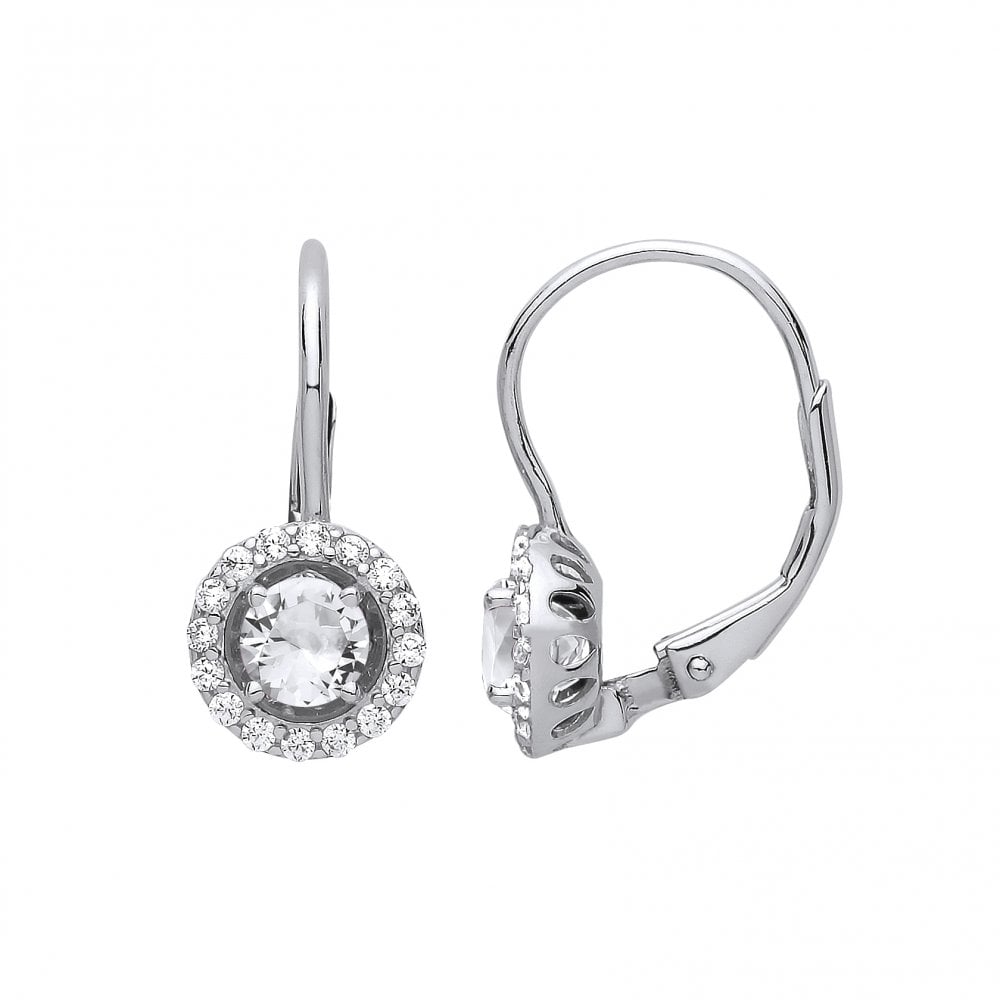 925 Sterling Silver Cubic Zirconia Round Drop Earrings