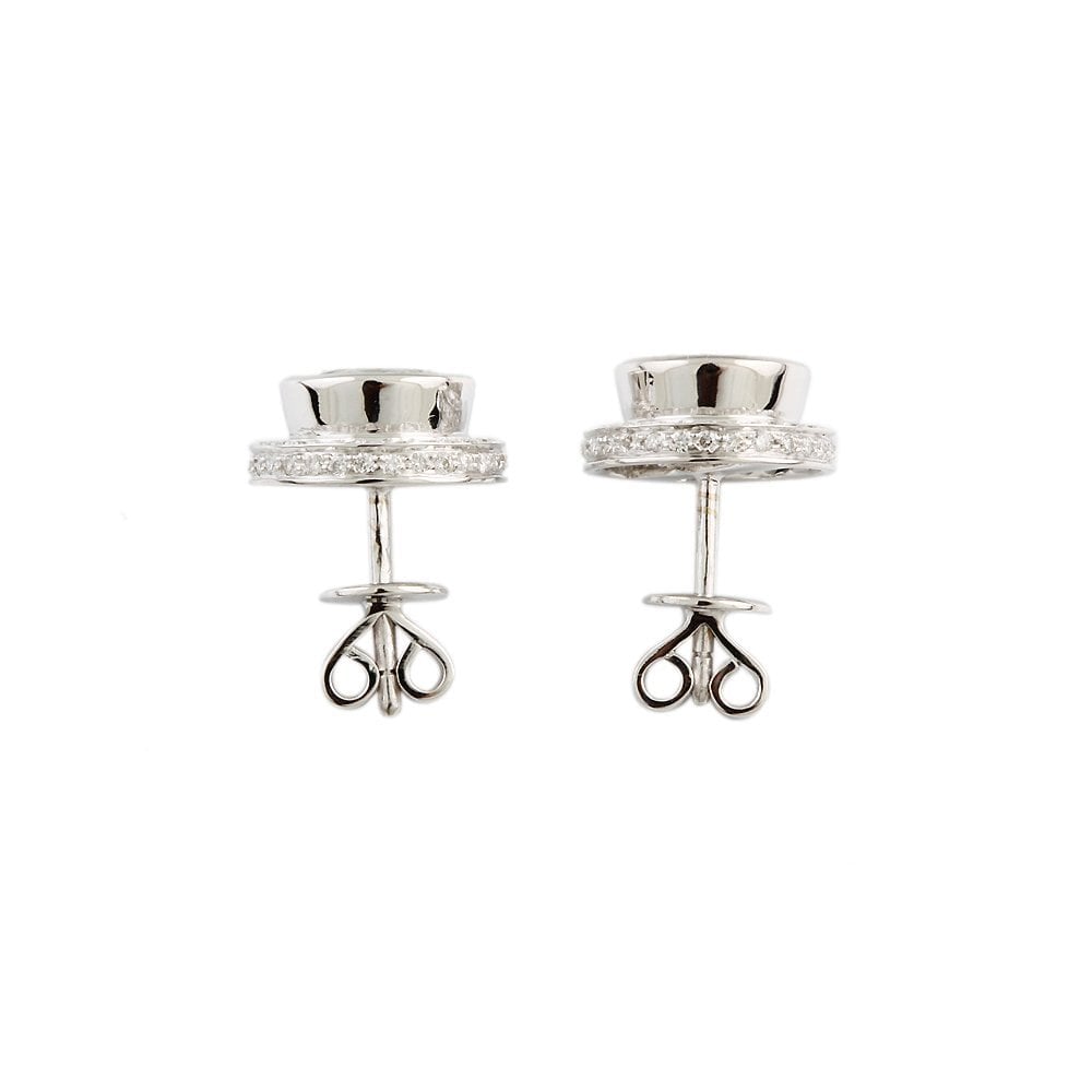 White Gold 0.42ct Round Brilliant Cut Diamond and 3.13ct Round Aquamarine Cluster Earrings