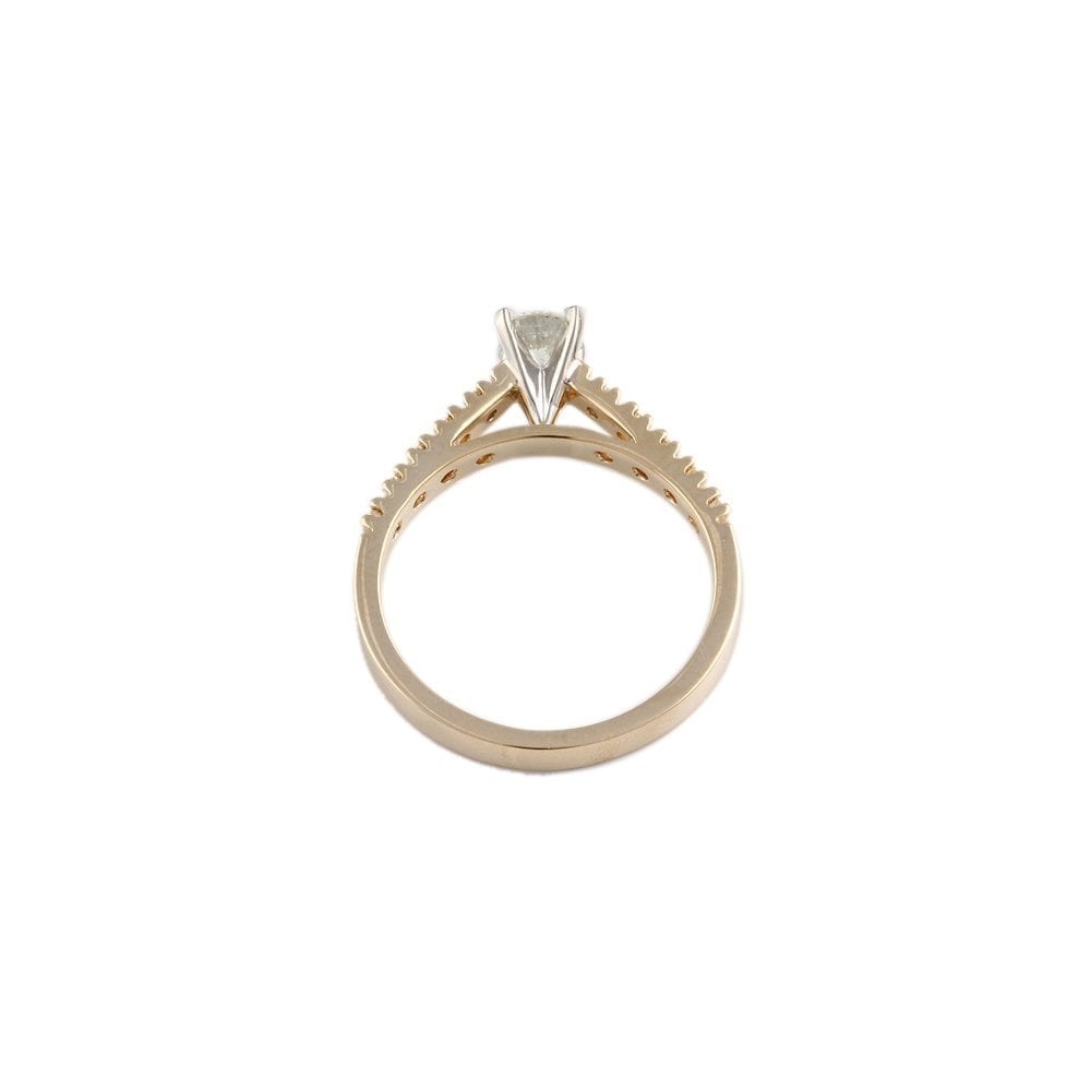 Yellow and White Gold Round Brilliant Diamond Solitaire Ring With Studded Shank