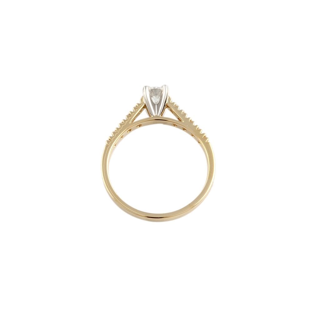 Yellow and White Gold Round Brilliant Diamond Solitaire Ring With Studded Shank