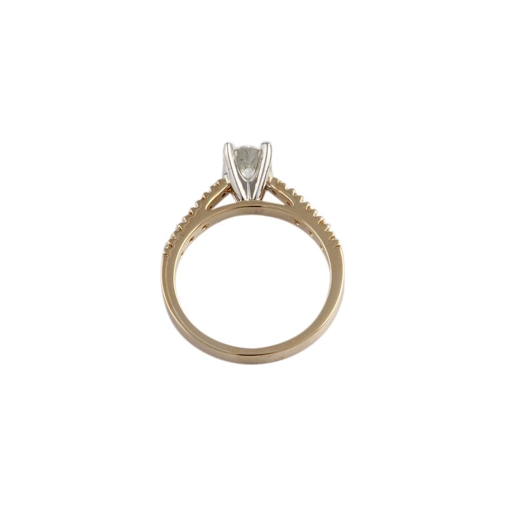 Yellow and White Gold Round Brilliant Diamond Solitaire Ring With Studded Shank