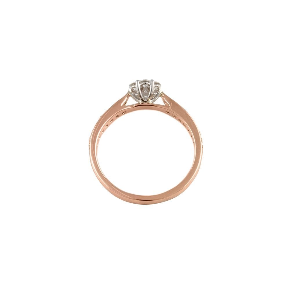 9ct Yellow and White Gold 0.36ct Round Brilliant Diamond Cluster Ring with Studded Shank