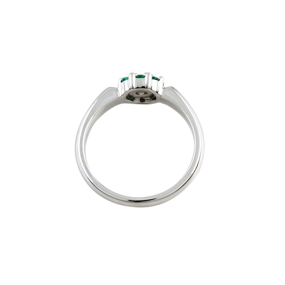 9ct White Gold Diamond 0.21ct and Emerald 0.25ct Cluster Ring