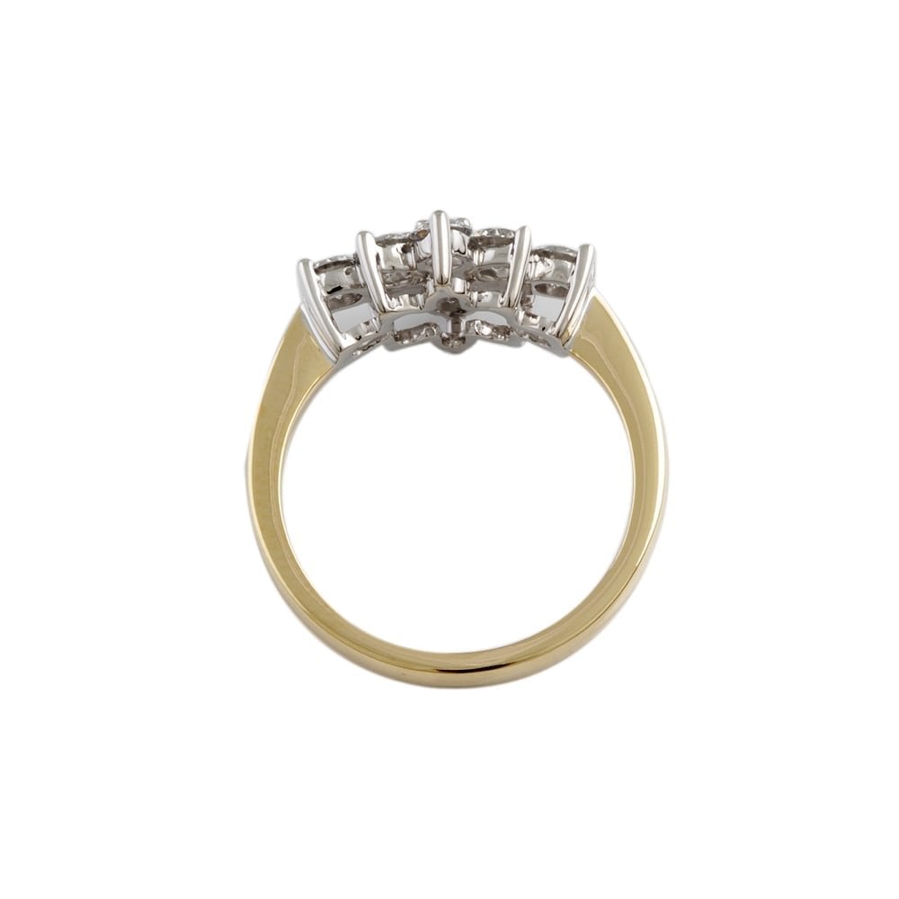 9ct Yellow and White Gold Diamond Cluster Ring