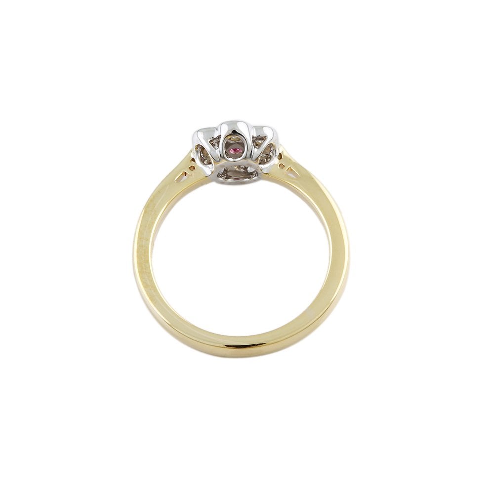 Yellow and White Gold 0.22ct Round Diamond and 0.04ct Pink Sapphire Cluster Ring