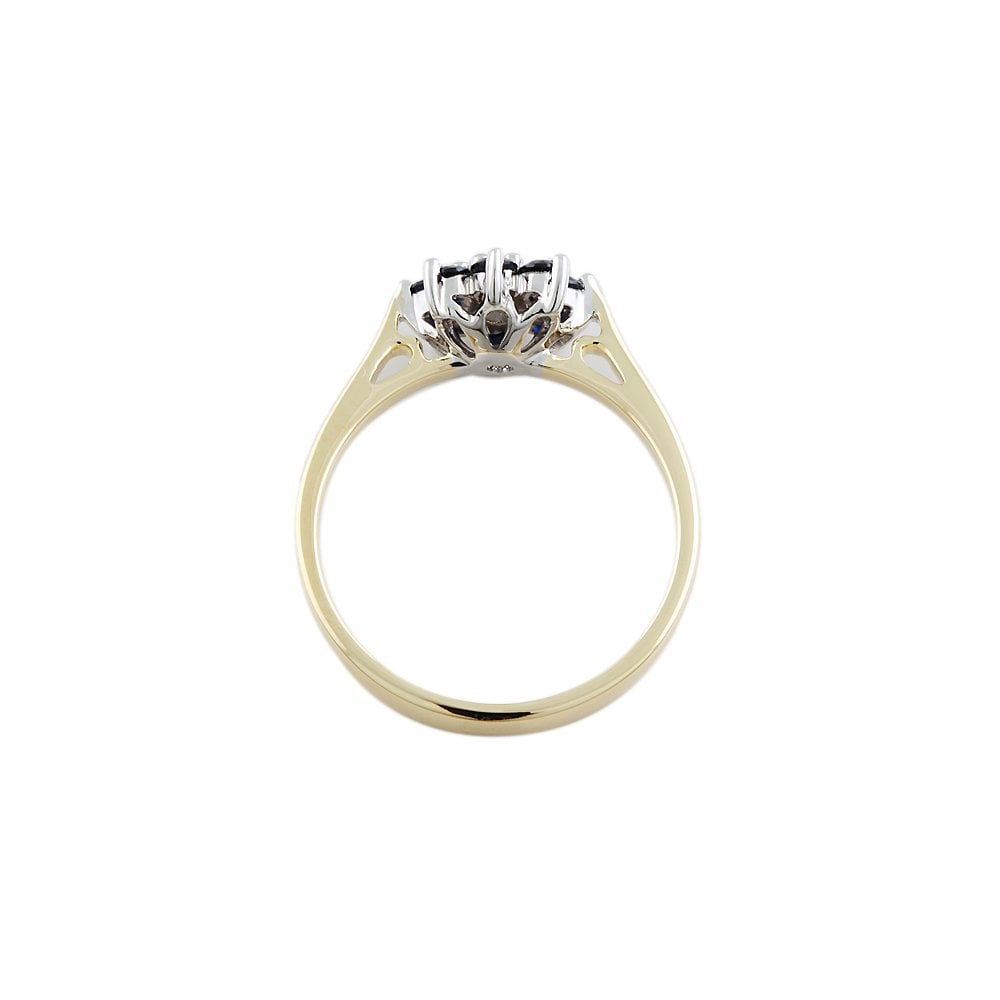 Yellow and White Gold 0.18ct Round Diamond and 0.58ct Round Blue Sapphire Set Cluster Ring