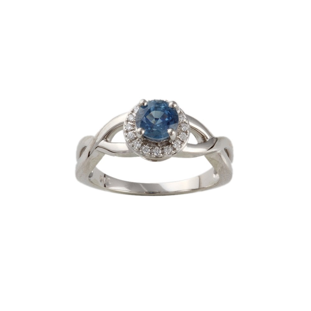 White Gold 0.06ct Round Diamond and 0.69ct Round Blue Sapphire Set Cluster Ring
