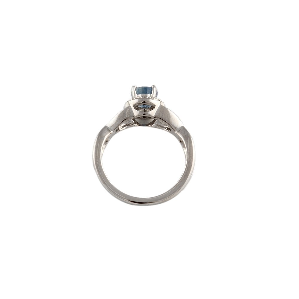 White Gold 0.06ct Round Diamond and 0.69ct Round Blue Sapphire Set Cluster Ring