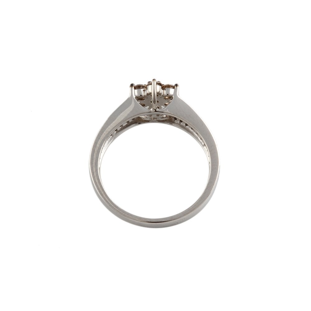White Gold 0.13ct Round Diamond and 0.47ct Round Brown Diamond Set Cluster Ring