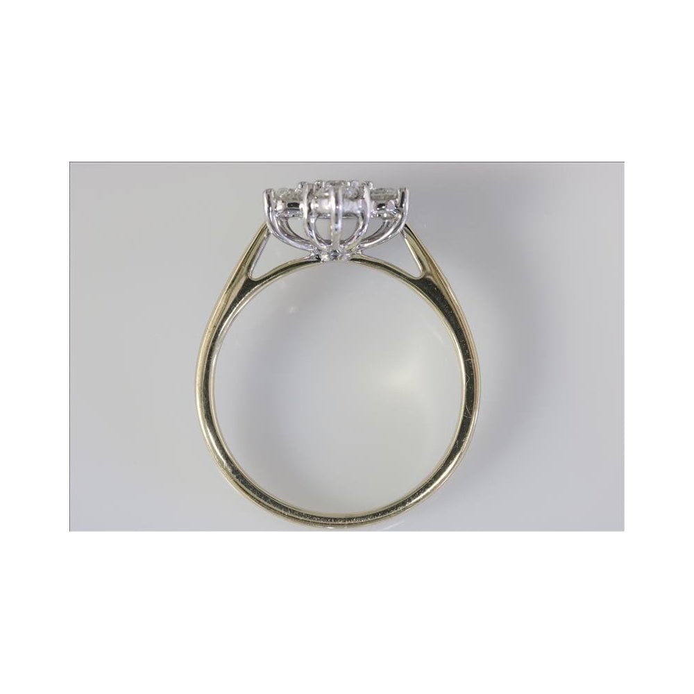 9ct Yellow and White Gold Diamond Cluster Ring.