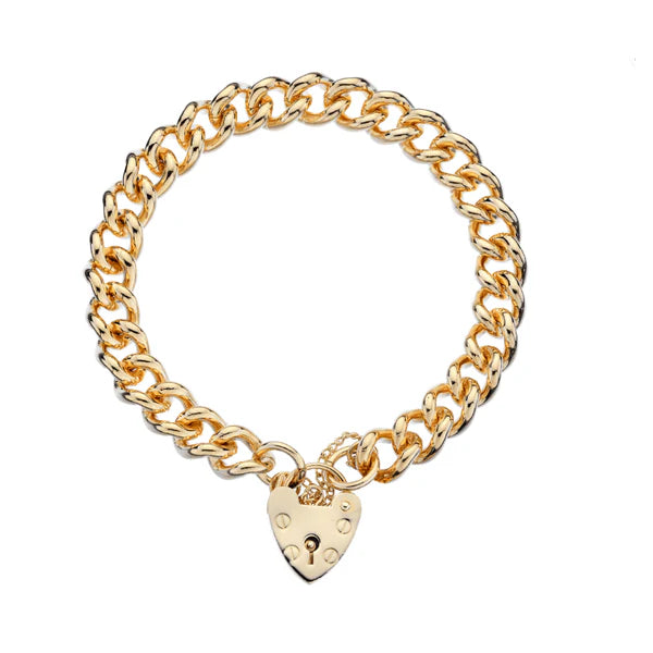 9ct Yellow gold Charm Bracelet  10mm